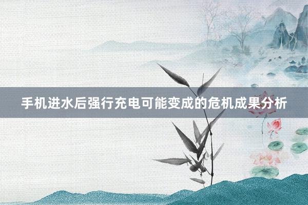 手机进水后强行充电可能变成的危机成果分析